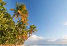 20 Incredible Things to Do in Trinidad and Tobago That Will Blow Your Mind Trinidad and Tobago Pictures