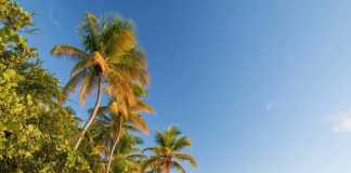 20 Incredible Things to Do in Trinidad and Tobago That Will Blow Your Mind Trinidad and Tobago Pictures