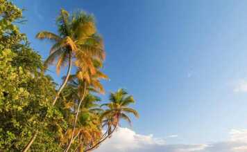 Trinidad and Tobago Pictures