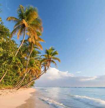 Trinidad and Tobago Pictures