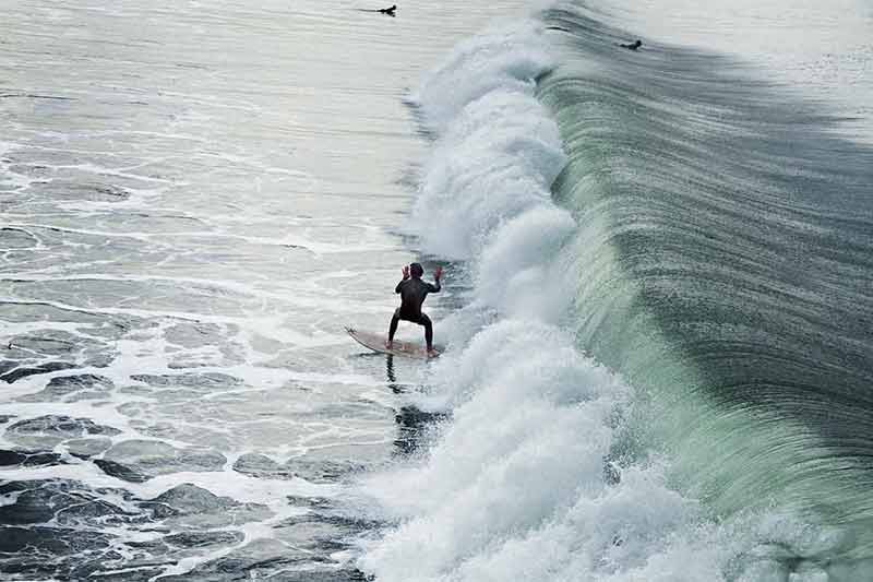 fun things to do in venice beach a surfer riding a wave