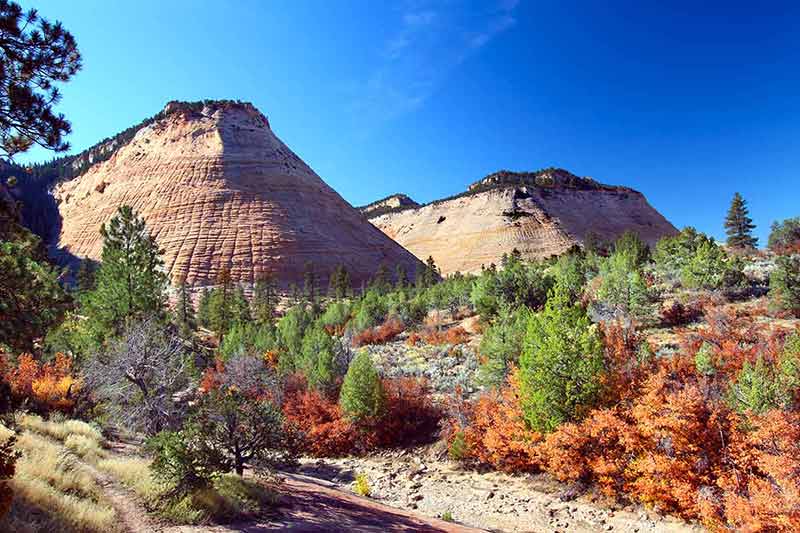 fun things to do in zion national park