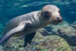 Snorkelling adventure