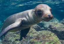 Snorkelling adventure