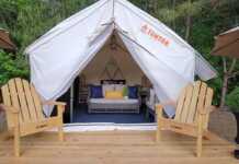 20 Amazing Glamping Spots In Georgia glamping georgia the hamptons
