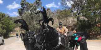 goulburn