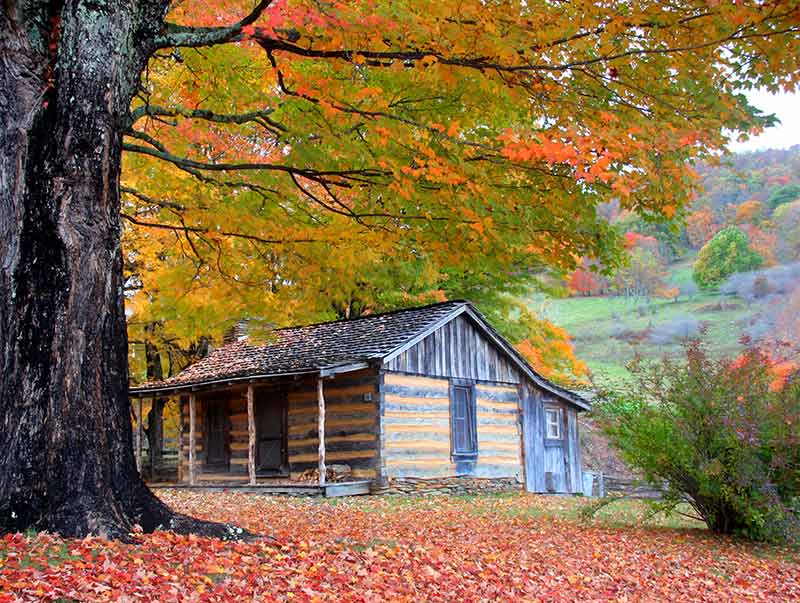 grayson highlands state park log cabin and fall tree