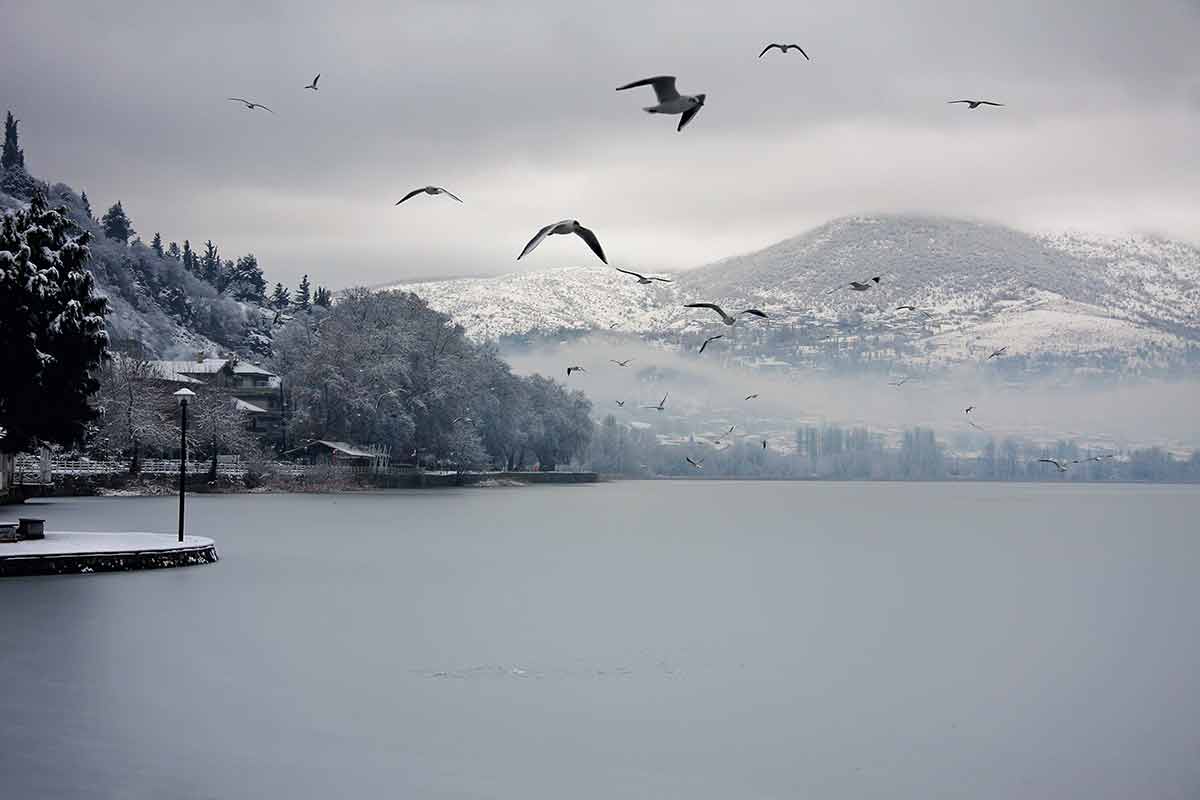 greece in winter frozen lake with birds, snow and clouds