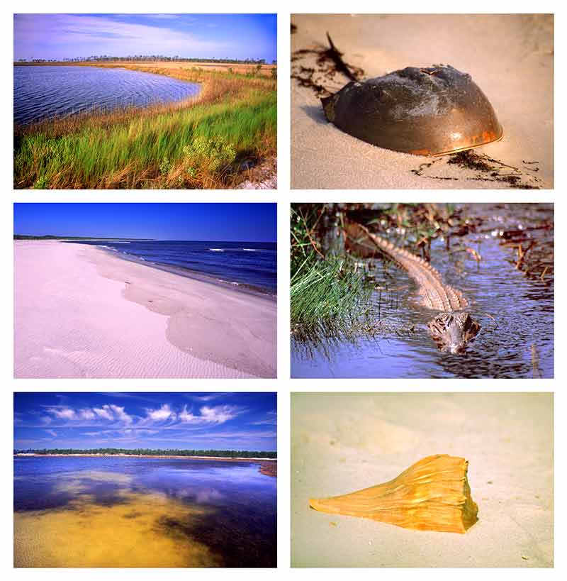 gulf islands national park mississippi collage of six photos