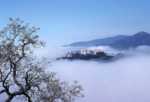 This California Castle Looks Like It Belongs In Europe hearst castle 8