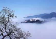 This California Castle Looks Like It Belongs In Europe hearst castle 8