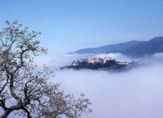 This California Castle Looks Like It Belongs In Europe hearst castle 8
