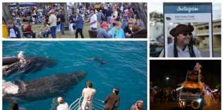 Hervey Bay Ocean Festival