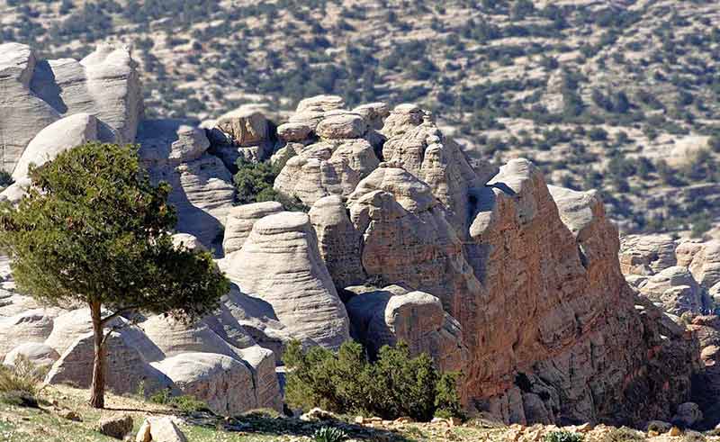 historical landmarks in west jordan Sandstones with typical wool bag weathering at the edge of the Dana Biosphere Reserve