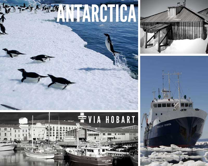 trips to antarctica from hobart