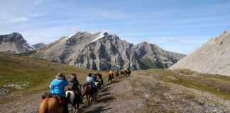 Horse Riding Holidays in canada