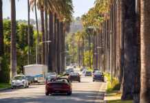 Houston To Los Angeles: The Ultimate Texas-To-California Road Trip Street with palms in Beverly Hills