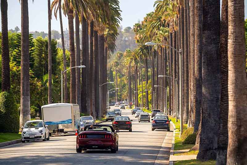 Street with palms in Beverly Hills
