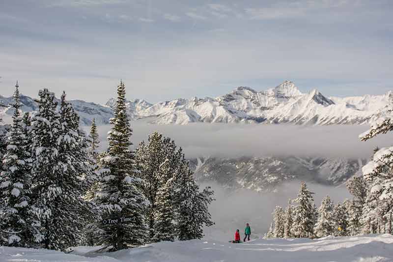 how many ski resorts in canada