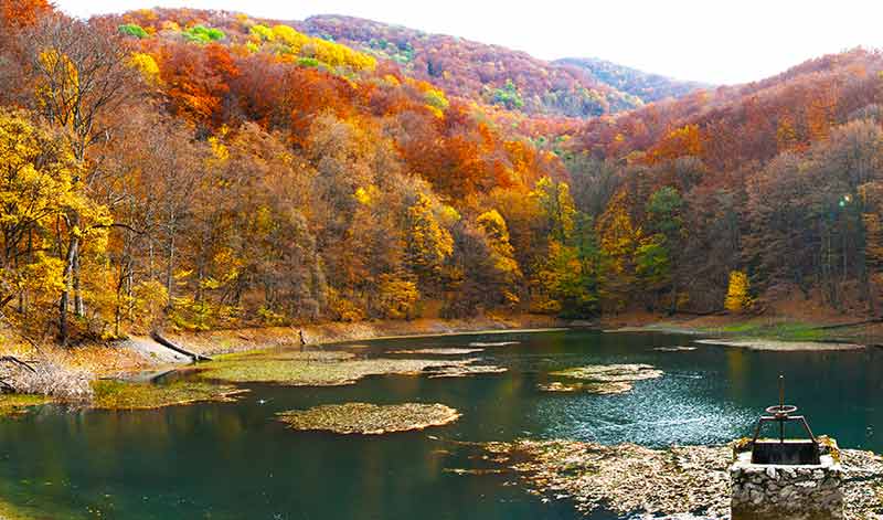 autumn leaves in szalajka valley
