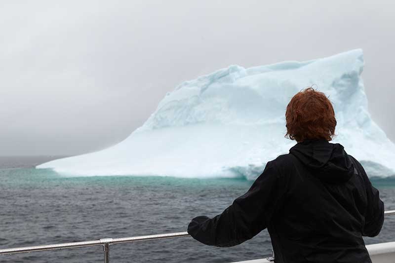 iceberg alley canada