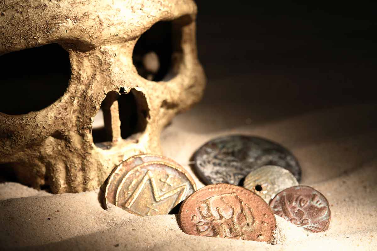 indoor things to do in idaho falls Closeup of human skull near ancient coins on sand.