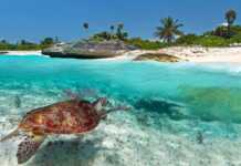 islands of mexico