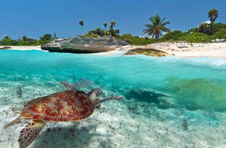 islands of mexico