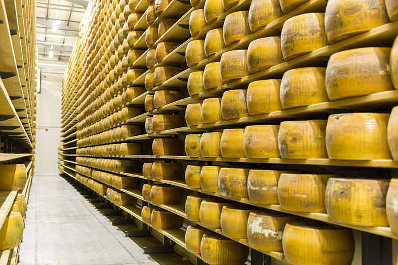 Parma: Parmigiano Production and Parma Ham Tour & Tasting
