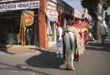 17 Beautiful Places To Visit In Jaipur That Are Worth The Hype places to visit in jaipur