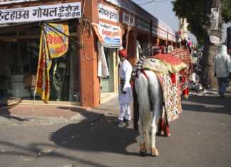 17 Beautiful Places To Visit In Jaipur That Are Worth The Hype places to visit in jaipur
