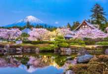 50 Incredible Japan Experiences Every Traveller Should Have japan