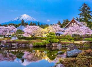 50 Incredible Japan Experiences Every Traveller Should Have japan