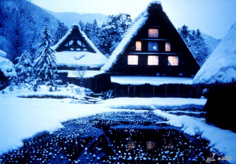 Shirakawago's houses