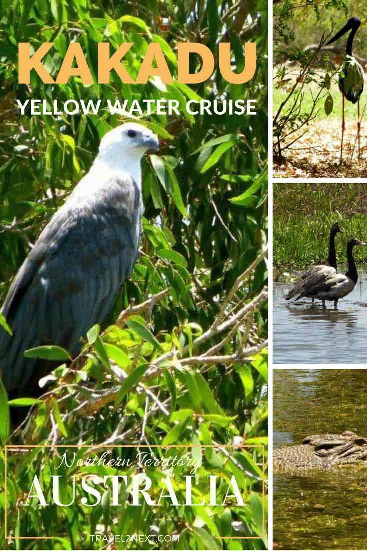 kakadu yellow water cruise