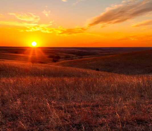 sun shining on the grass in flint hills at dusk