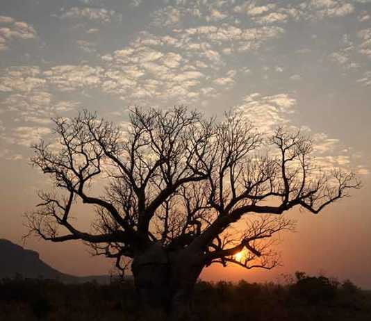 kimberleys