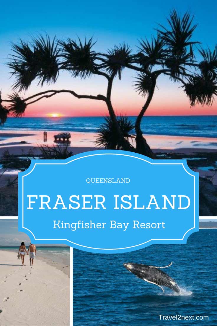 king fisherbay resort fraser island