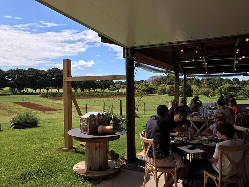 outdoor dining at farm & co