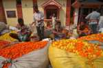 10 Fascinating Places To Visit In Kolkata That Will Surprise You kolkata flower market is the best place in kolkata to photograph people