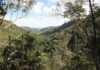 This Sunshine Coast Waterfall Walk Is Pure Magic kondalilla falls montville