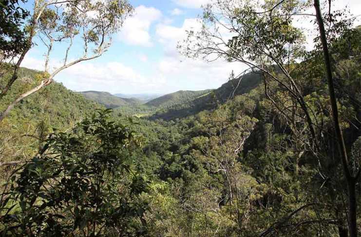 This Sunshine Coast Waterfall Walk Is Pure Magic kondalilla falls montville