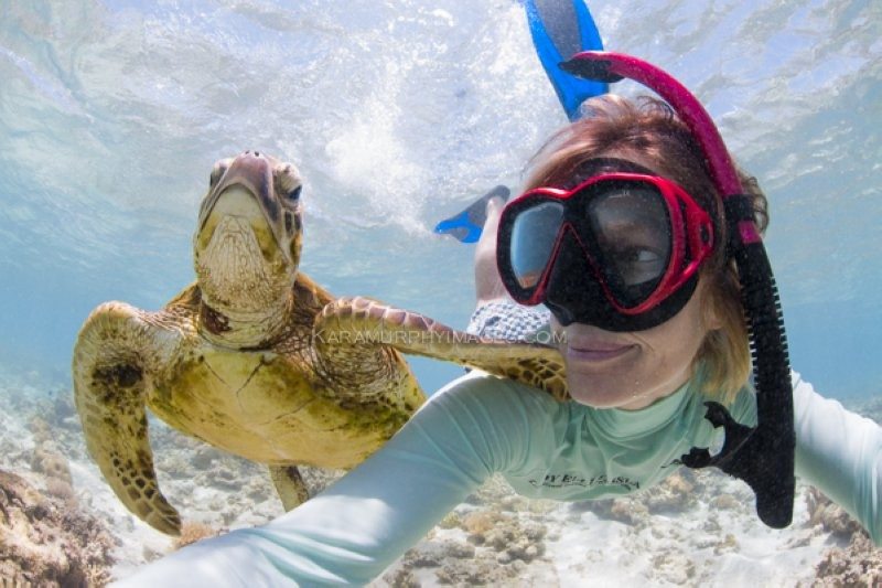 Lady Elliot Island turtle selfie