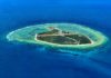 Lady Elliot Island: Why This Great Barrier Reef Escape Is So Special lady elliot island reviews