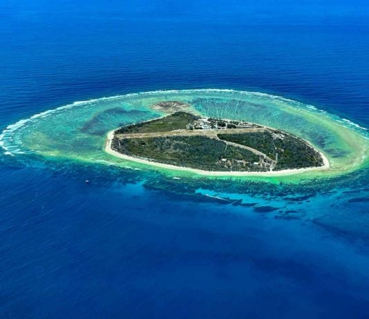 lady elliot island reviews