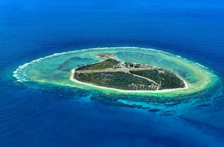 Lady Elliot Island: Why This Great Barrier Reef Escape Is So Special lady elliot island reviews