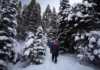 40 Lake Tahoe Experiences You’ll Be Talking About For Years lake tahoe