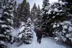 40 Lake Tahoe Experiences You’ll Be Talking About For Years lake tahoe