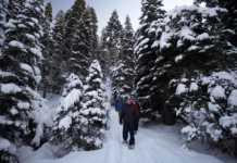 40 Lake Tahoe Experiences You’ll Be Talking About For Years lake tahoe