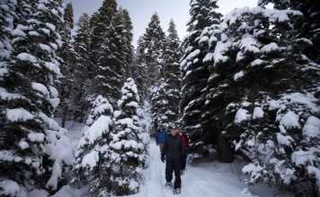 40 Lake Tahoe Experiences You’ll Be Talking About For Years lake tahoe